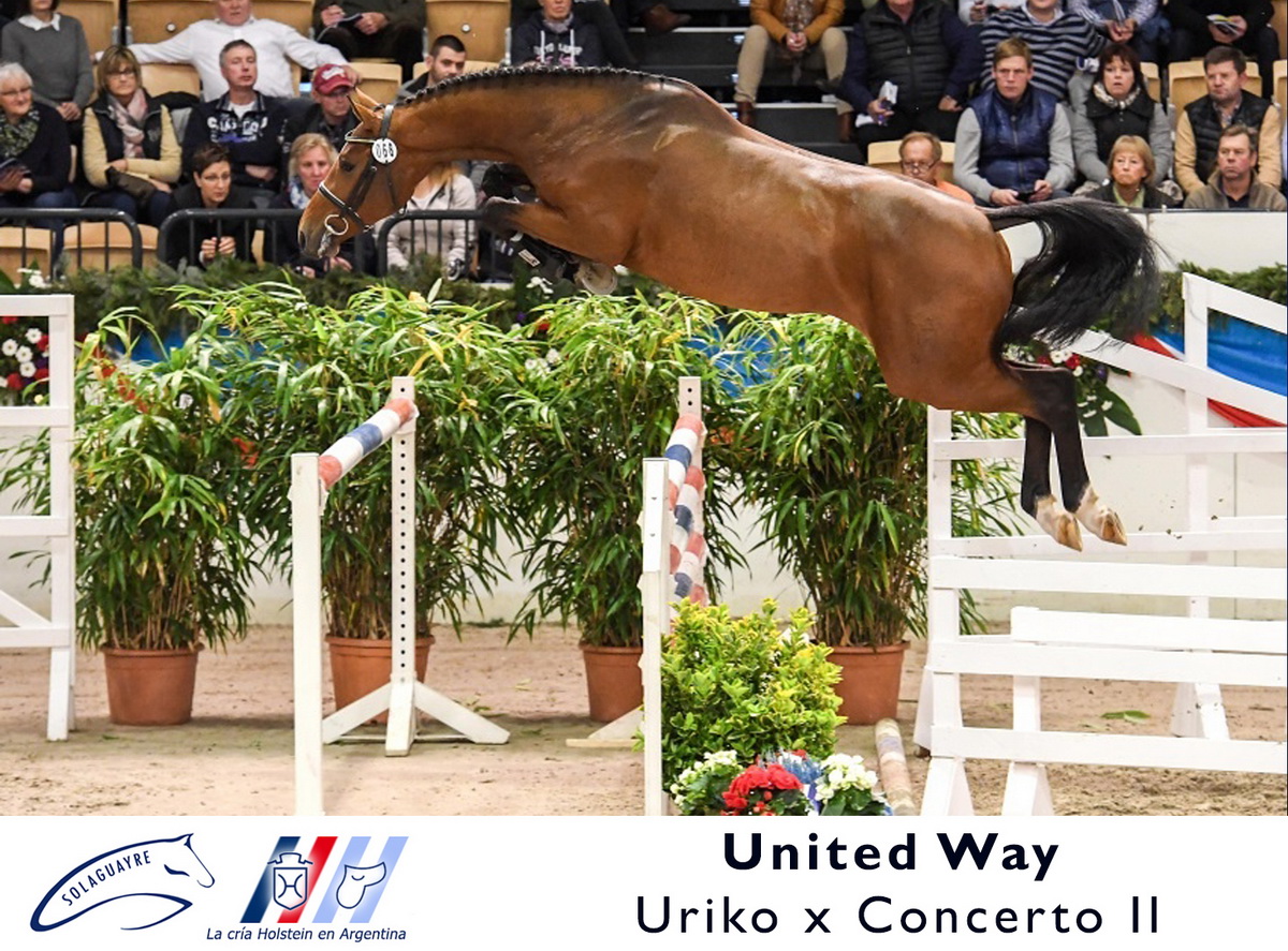 UNITED WAY